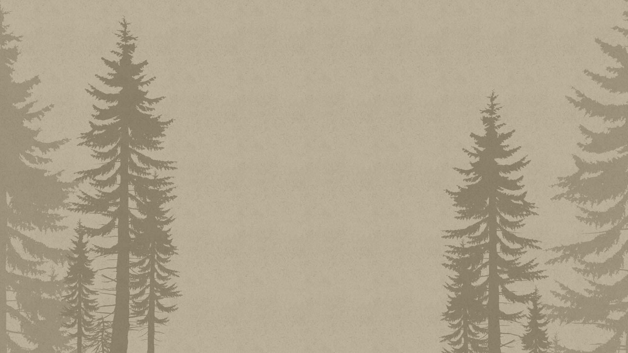 bg-cedars-1280x720-02